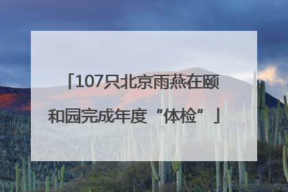 107只北京雨燕在颐和园完成年度“体检”