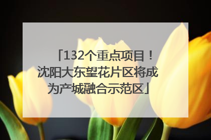 132个重点项目！沈阳大东望花片区将成为产城融合示范区