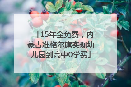 15年全免费，内蒙古准格尔旗实现幼儿园到高中0学费