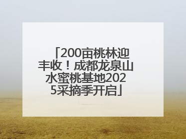 200亩桃林迎丰收！成都龙泉山水蜜桃基地2025采摘季开启