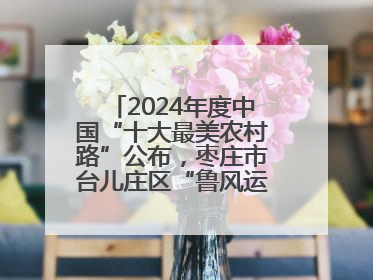 2024年度中国“十大最美农村路”公布，枣庄市台儿庄区“鲁风运河”古城文化廊道上榜！