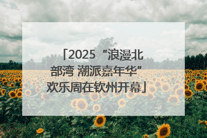 2025“浪漫北部湾 潮派嘉年华”欢乐周在钦州开幕