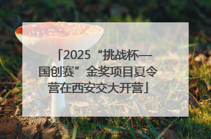 2025“挑战杯—国创赛”金奖项目夏令营在西安交大开营