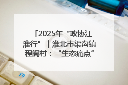 2025年“政协江淮行”｜淮北市渠沟镇程阁村：“生态痛点”变“生态景观”