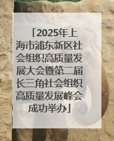 2025年上海市浦东新区社会组织高质量发展大会暨第二届长三角社会组织高质量发展峰会成功举办