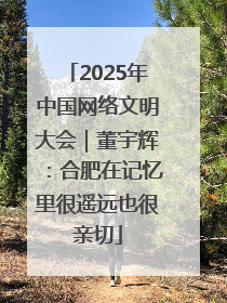 2025年中国网络文明大会｜董宇辉：合肥在记忆里很遥远也很亲切