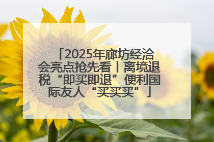 2025年廊坊经洽会亮点抢先看丨离境退税“即买即退”便利国际友人“买买买”