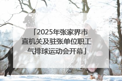 2025年张家界市直机关及驻张单位职工气排球运动会开幕