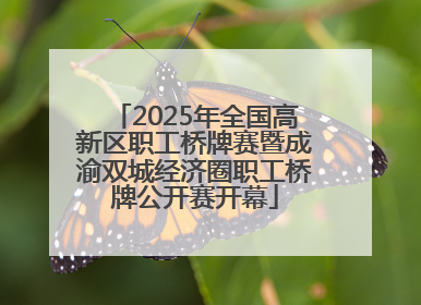 2025年全国高新区职工桥牌赛暨成渝双城经济圈职工桥牌公开赛开幕