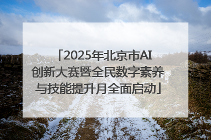 2025年北京市AI创新大赛暨全民数字素养与技能提升月全面启动