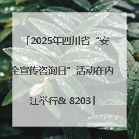 2025年四川省“安全宣传咨询日”活动在内江举行& 8203