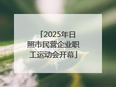 2025年日照市民营企业职工运动会开幕
