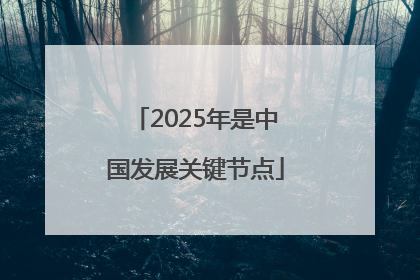 2025年是中国发展关键节点