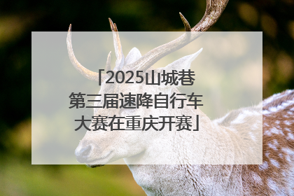 2025山城巷第三届速降自行车大赛在重庆开赛