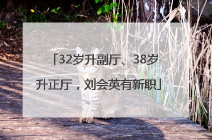 32岁升副厅、38岁升正厅，刘会英有新职
