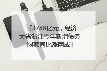3788亿元，经济大省浙江今年新增债务限额同比涨两成