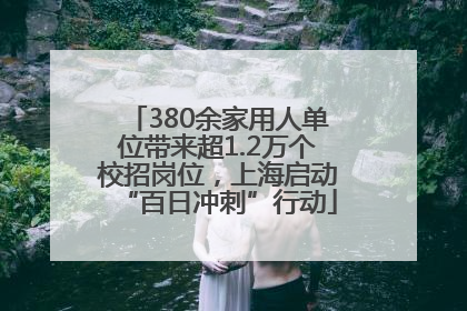 380余家用人单位带来超1.2万个校招岗位，上海启动“百日冲刺”行动