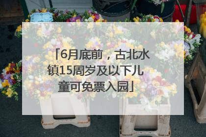 6月底前，古北水镇15周岁及以下儿童可免票入园