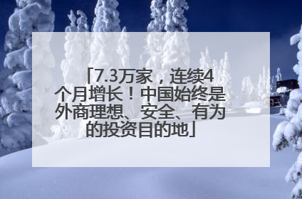 7.3万家，连续4个月增长！中国始终是外商理想、安全、有为的投资目的地