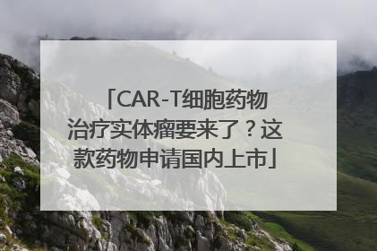 CAR-T细胞药物治疗实体瘤要来了？这款药物申请国内上市