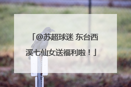 @苏超球迷 东台西溪七仙女送福利啦！