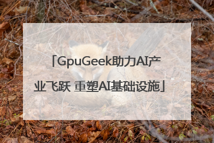 GpuGeek助力AI产业飞跃 重塑AI基础设施