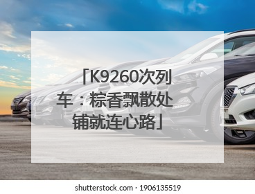 K9260次列车：粽香飘散处 铺就连心路