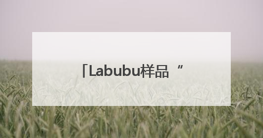 Labubu样品“痛墙”成打卡地标！开业4天已被挤爆，堪比早高峰菜市场