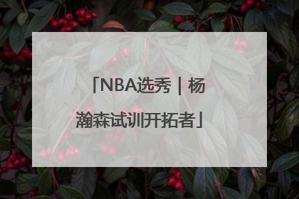 NBA选秀｜杨瀚森试训开拓者